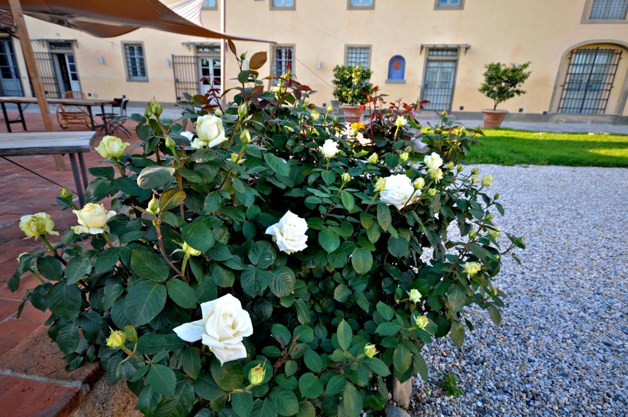 Agriturismo San Rocco Pistoia Exteriér fotografie